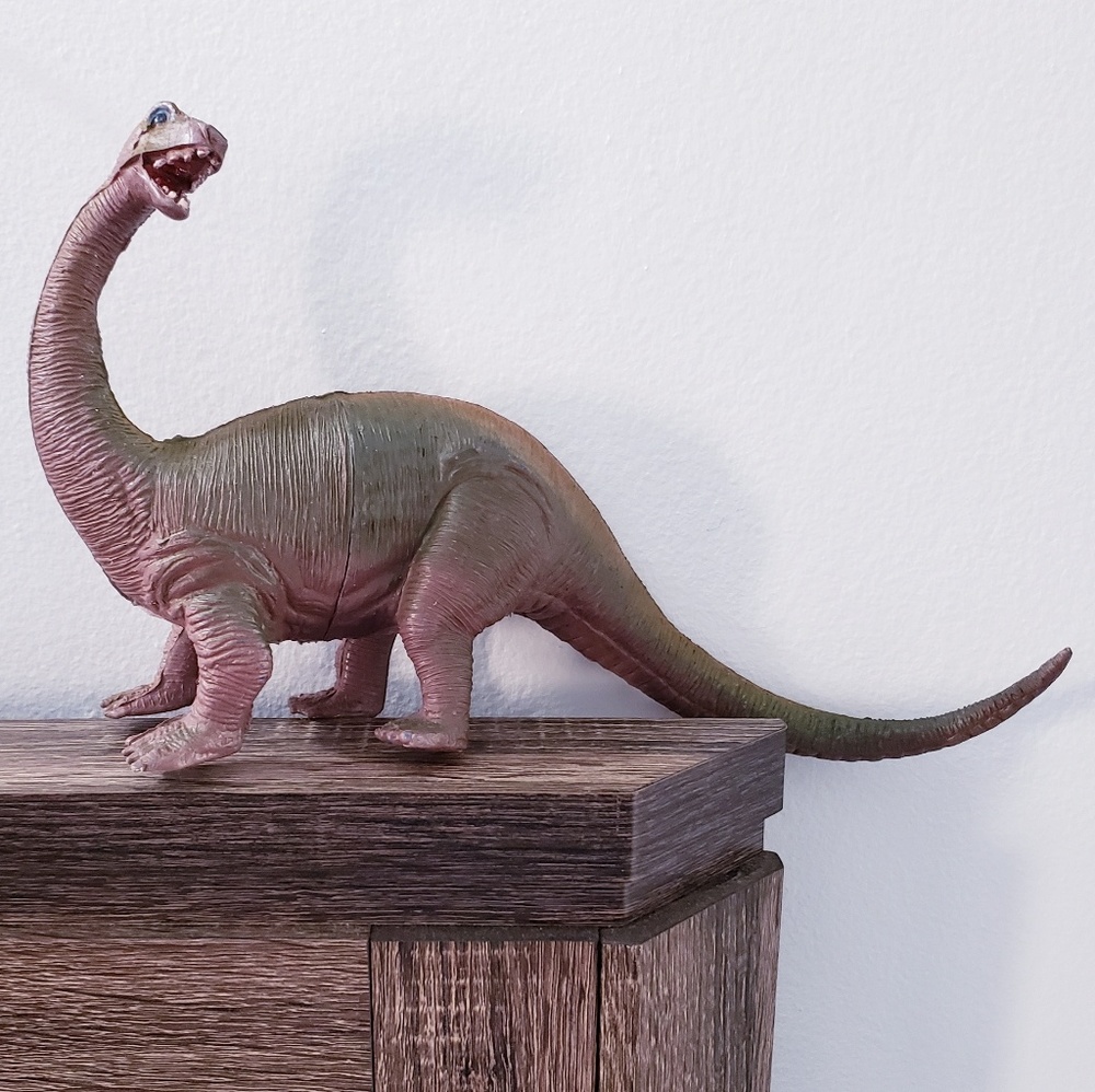 Brontosaurus dinosaur